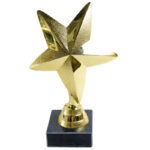 Награда "Звезда", h-13см, пластик