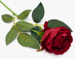 Цветы искусственные "Роза Охара", 8,5*56 см, цвет красный, пластик