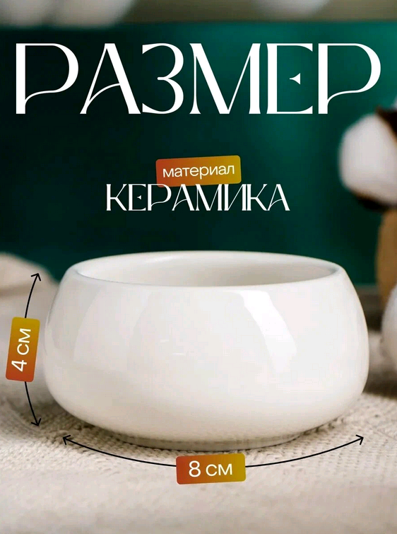 Кашпо "Лайт Бонсай мини", для кактусов и суккулентов, 8*4см, цвет белый, керамика